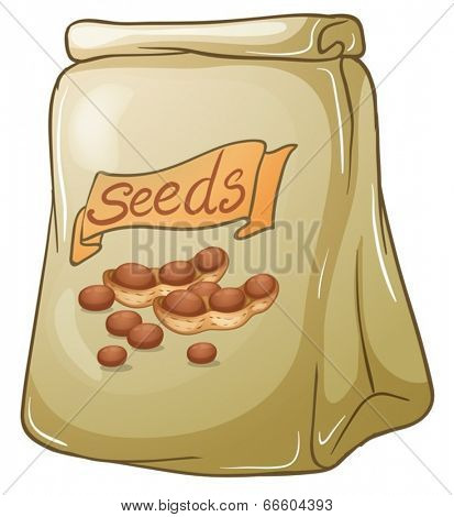 Illustration of a pack of nut seeds on a white background