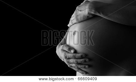 Tender Pregnancy