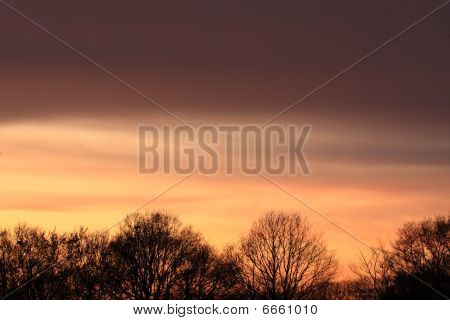 Winter Sunset puita