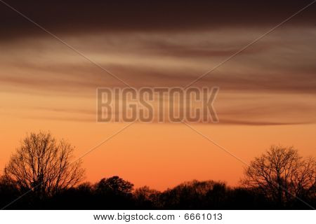 Winter Sunset puita