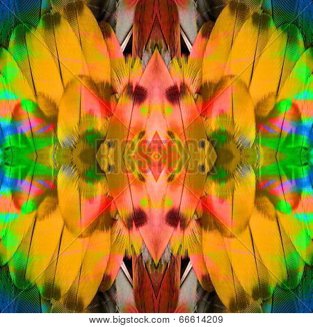 Background Texture Of Multicolor Scarlet Macaw Bird Feathers