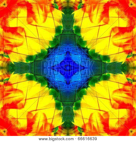 Beautiful Of Red And Yellow Fire Look Background Texture Of Scarlet Macaw Bird Feathers