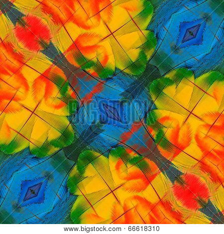 Best Of Close Up Of Beautiful Scarlet Macaw Wing Feathers In Background Texture