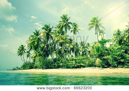 Tropical Island