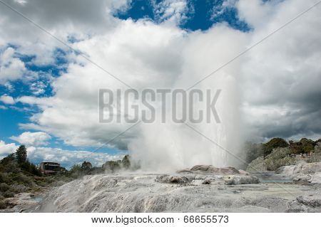 Pohutu and Prince of Wales geysers in Rotorua area, New Zealand