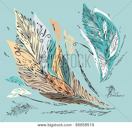 Vector colorful feathers -  leaves.Hand-drawn illustration