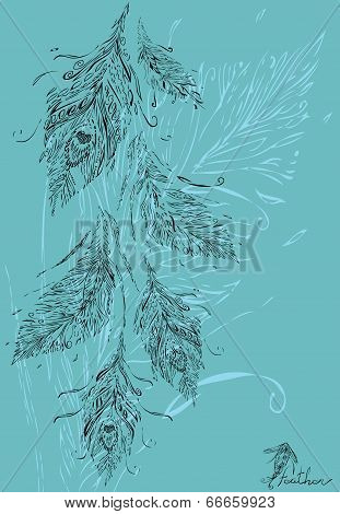Peacock bundle feathers