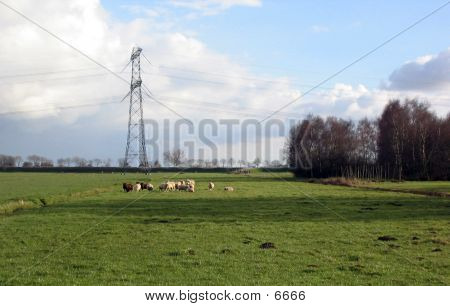 Holandský pohled