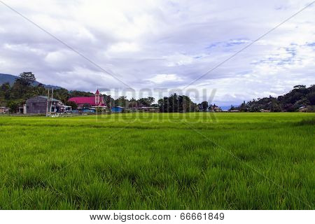 Green Grass, Red Church.
