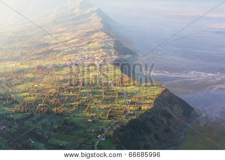 Fields in Indonesia,Java