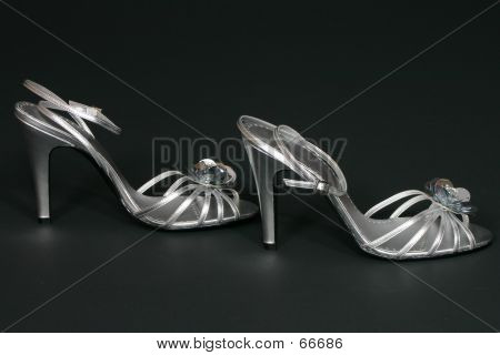 Silver Shoes