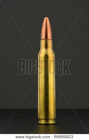 Rifle Ammo