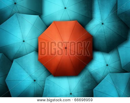 Red umbrella standing out from the crowd of blue brollys