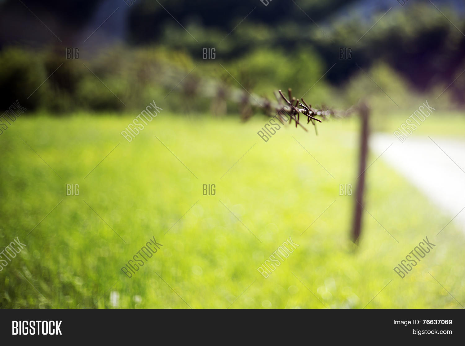 Image Preview