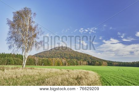 Agricultural Landscape