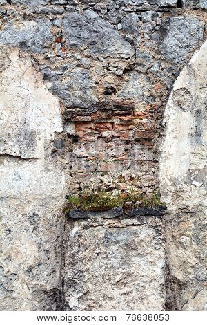 Castle Arch Shape With Flowers