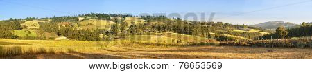 180 degree panorama of farms and hills in Ethiopia