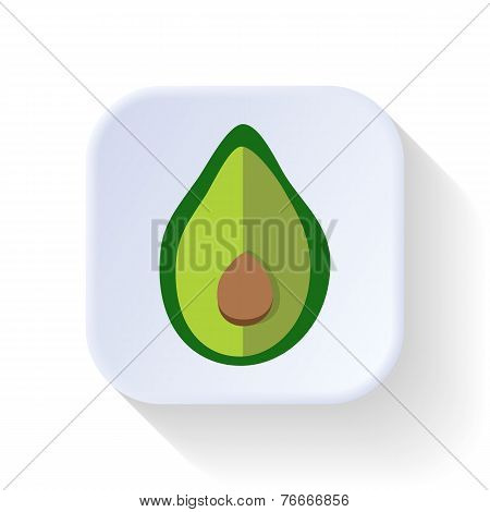 Avocado Fruit