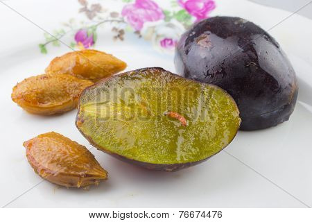 Plum fruit moth