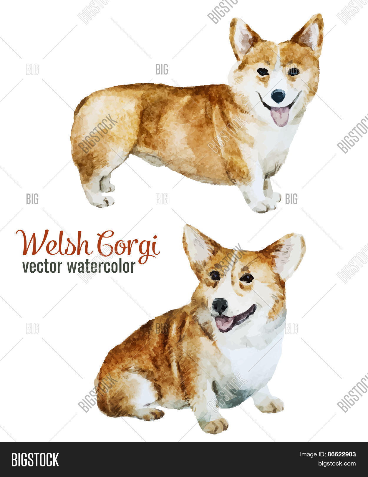 Image Preview