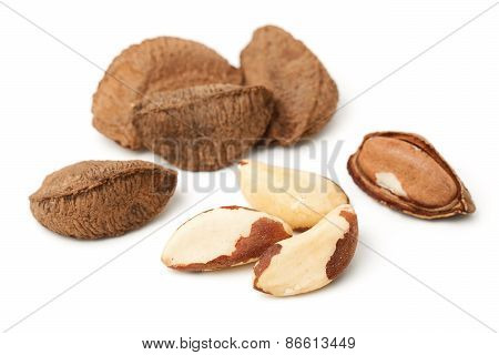 Brasil Nuts