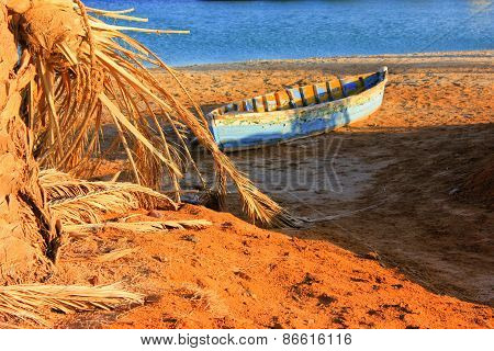 Wooden Boat And Old Trees