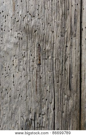 Old wood plank
