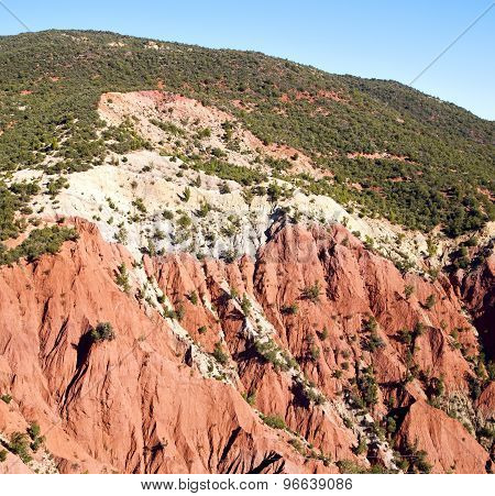 The    Dades Valley In Atlas Moroco Africa Ground Tree  And Nobody