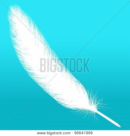 Feather