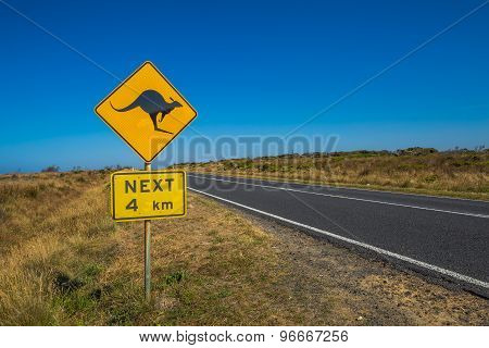Warning Kangaroo