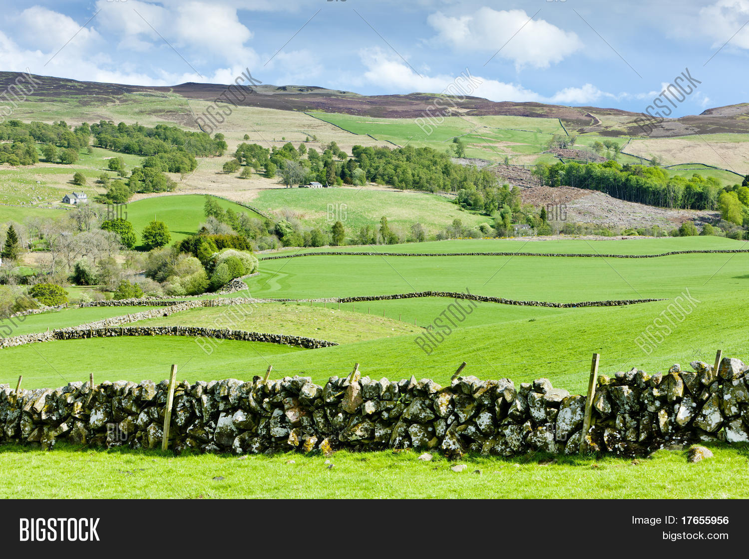 Glen Shee, Highlands, Image & Photo (Free Trial) Bigstock