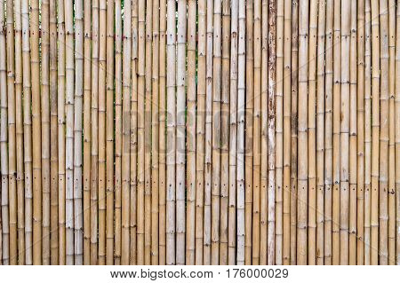 Bamboo wall Bamboo fence background. local area urban house protection from the thief.