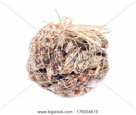 Decorative bag of bat volute sea shells, cymbiola vespertilio, volutidae family, isolated on white bacground