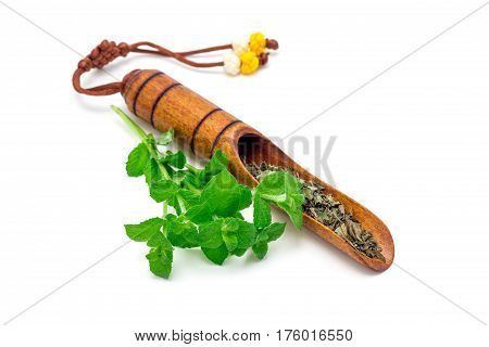 Dry herbal mint tea in traditional korean wooden tea scoop and fresh peppermint on background isolated on white horizontal