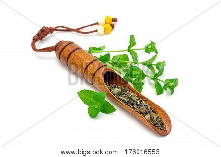 Dry herbal mint tea in traditional korean wooden tea scoop and fresh peppermint on background isolated on white horizontal