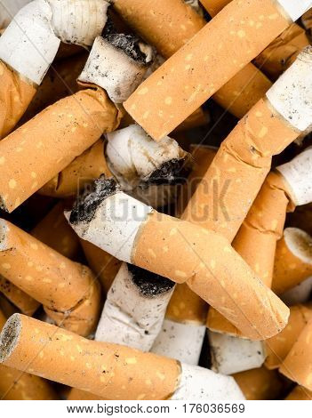 Vertical background from cigarettes with the filter