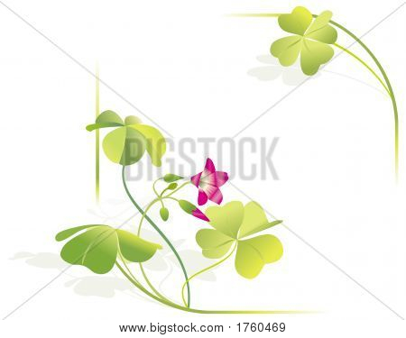 Trevo de quatro folhas, flor. Quadro, cantos, ilustração