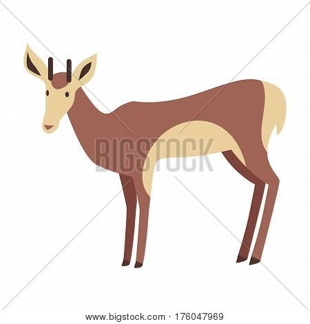 Young fallow deer male with horns flat style vector. Wild herbivorous animal. European fauna species. For nature concepts children s book illustrating, printing materials. Isolated on white background