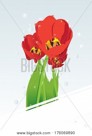 Vector illustration of red tulips on a gently background with a ribbon for congratulating on a holiday. Place for your text.
