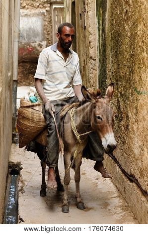 LAMU KENYA - JUNE 11: Resident of the Lamu archipelago sitting on the donkey which serves him to for moving on an island as well as for the transportation of goods in the Lamu in June 11 2013