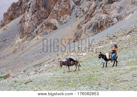 Donkey caravan in remote Asian mountain area. Fan Mountains, Alaudin pass, Tagikistan, Middle Asia, July 16, 2015