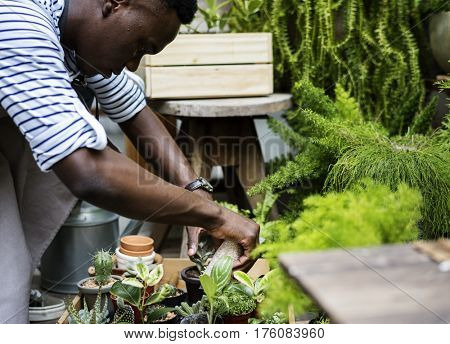 Adult Man Checking Plants Outside Flower Shop