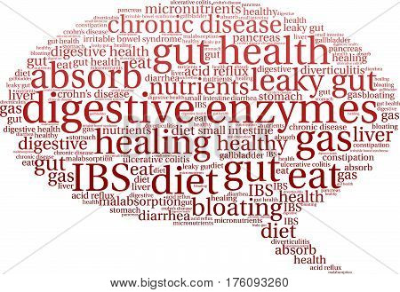 Digestive Enzymes Word Cloud