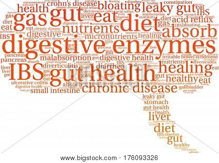Digestive Enzymes Word Cloud