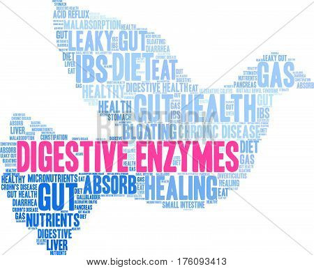 Digestive Enzymes Word Cloud