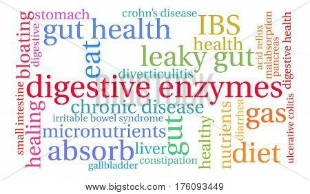 Digestive Enzymes Word Cloud