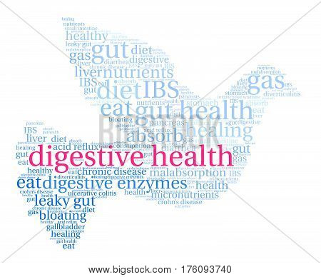 Digestive Health Word Cloud