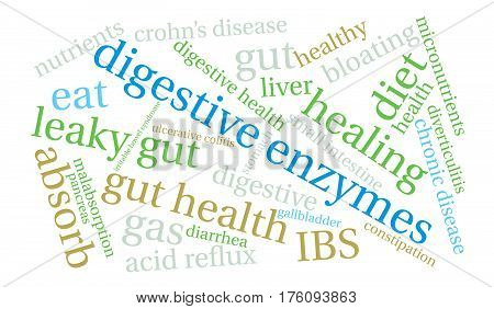 Digestive Enzymes Word Cloud