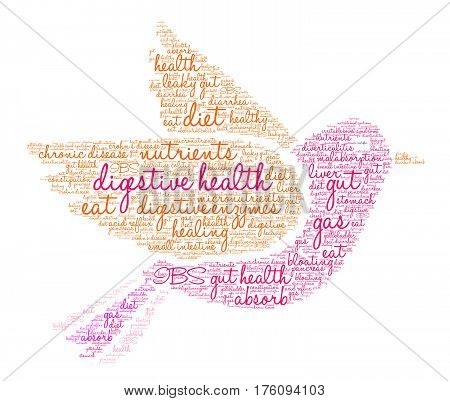 Digestive Health Word Cloud