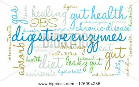Digestive Enzymes Word Cloud